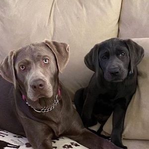 Meet your Posher, Kimberley